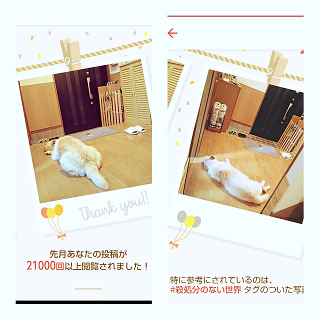 Tirorinさんの実例写真