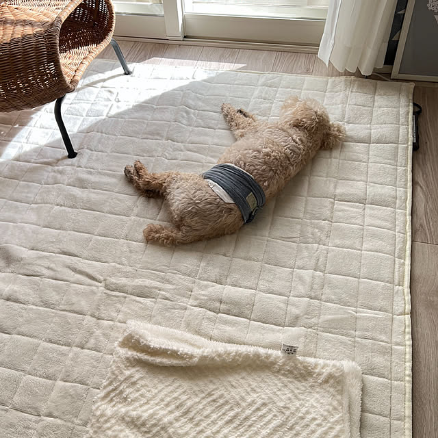 yukarimamaさんの部屋