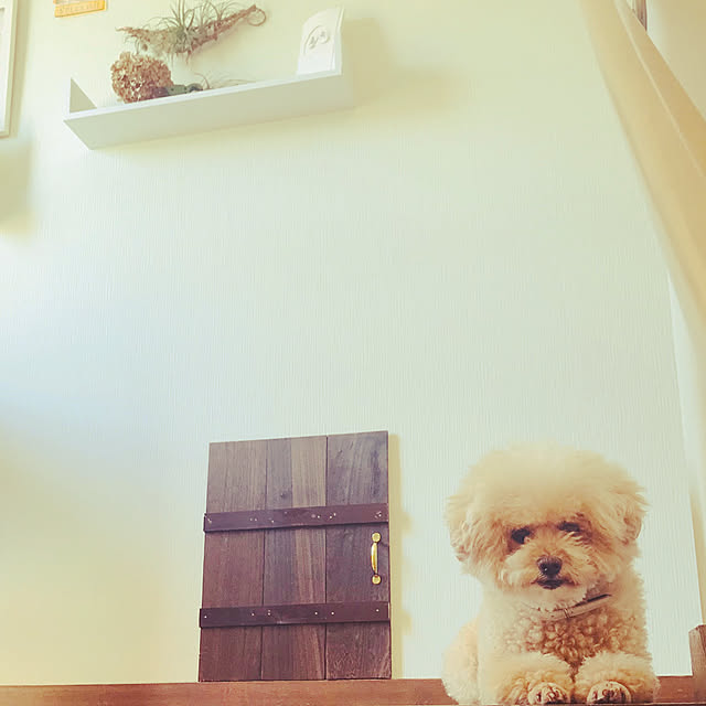 hima820さんの実例写真