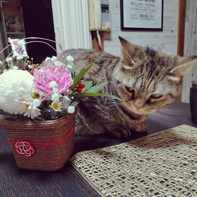 runaさんの実例写真