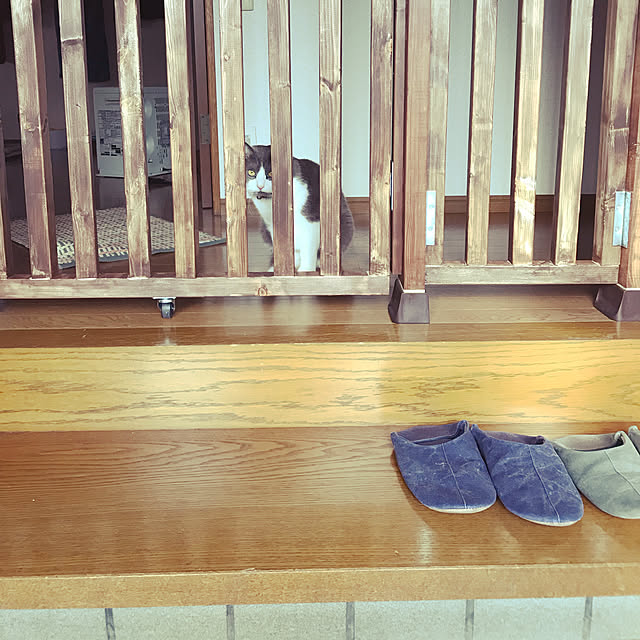 hacchiさんの実例写真