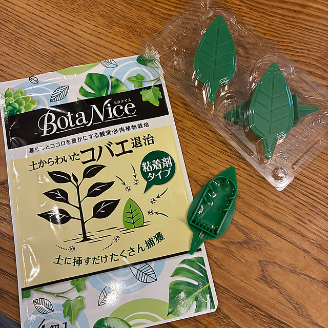 ayayayayaさんの部屋