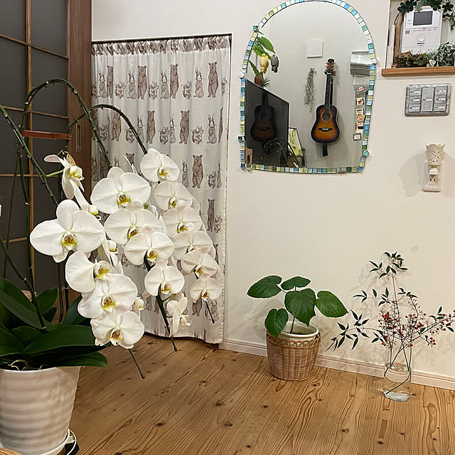 emiuraranさんの部屋