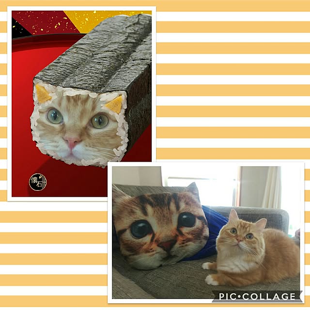 lukeさんの実例写真