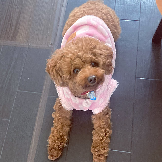 MOMOMAMAさんの実例写真