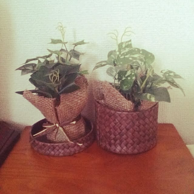 muy.さんの実例写真