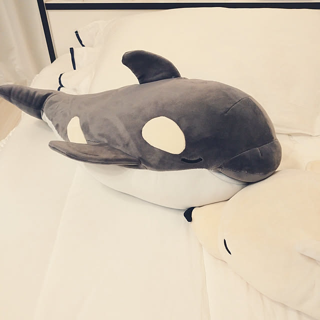 hocchanさんの実例写真