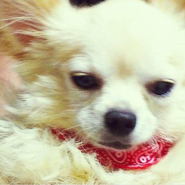 minnieさんの部屋