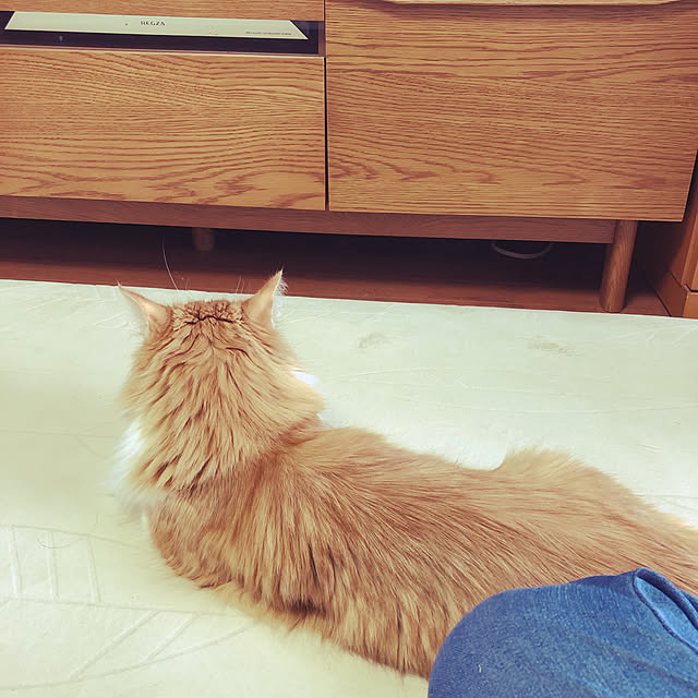 uchidaizuさんの実例写真