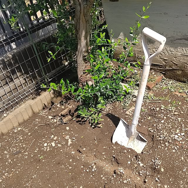 Ri-さんの実例写真