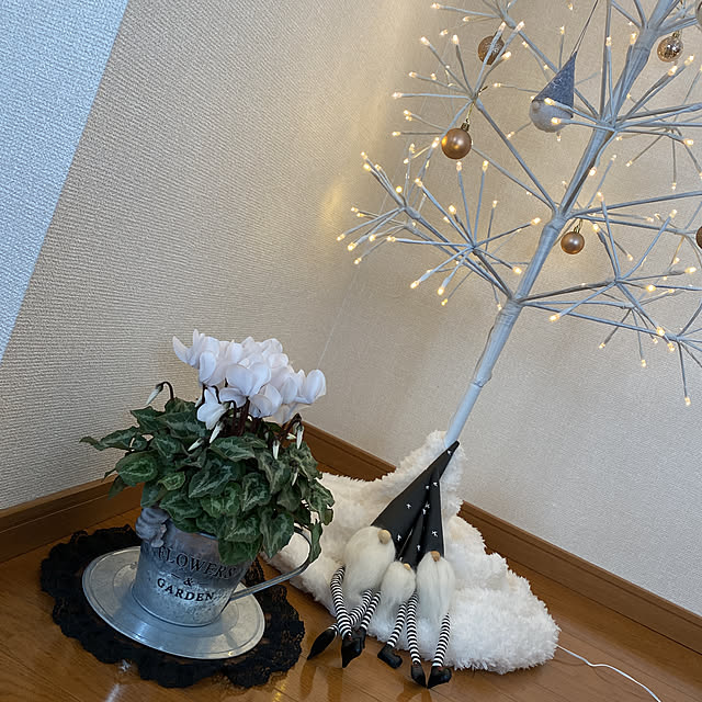 cecil..さんの実例写真