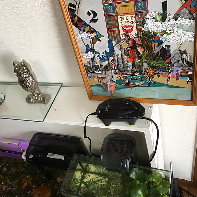 alohabaabaさんの実例写真