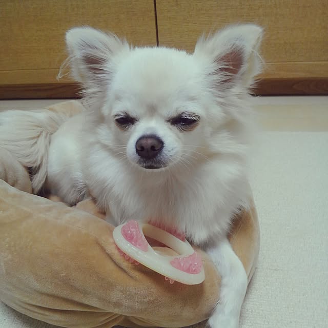 okuriさんの実例写真