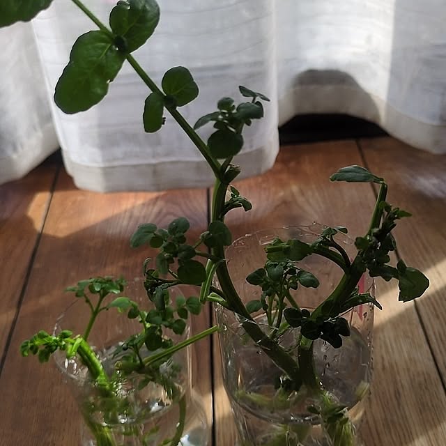 ramuramuさんの実例写真