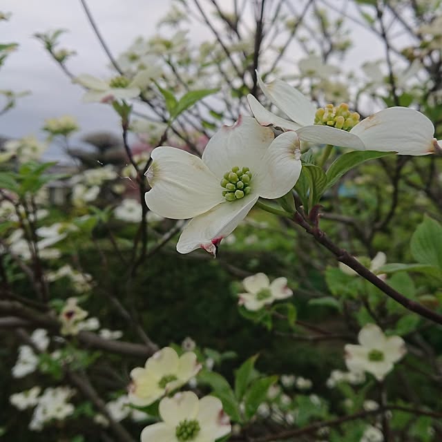 ot-gardenさんの部屋