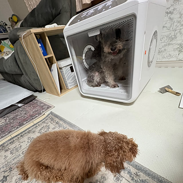 alchoさんの実例写真