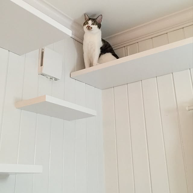 yuchiさんの実例写真