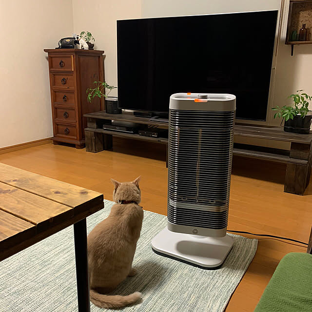 mikan161さんの実例写真
