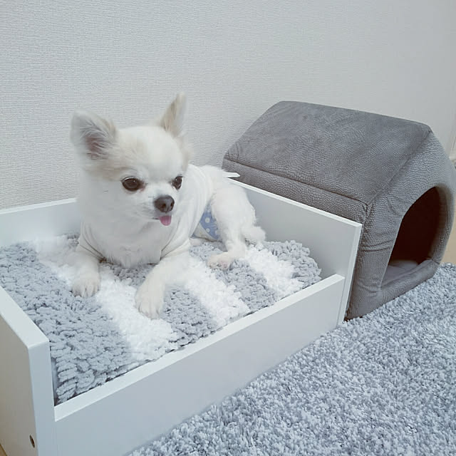 UMECOさんの実例写真