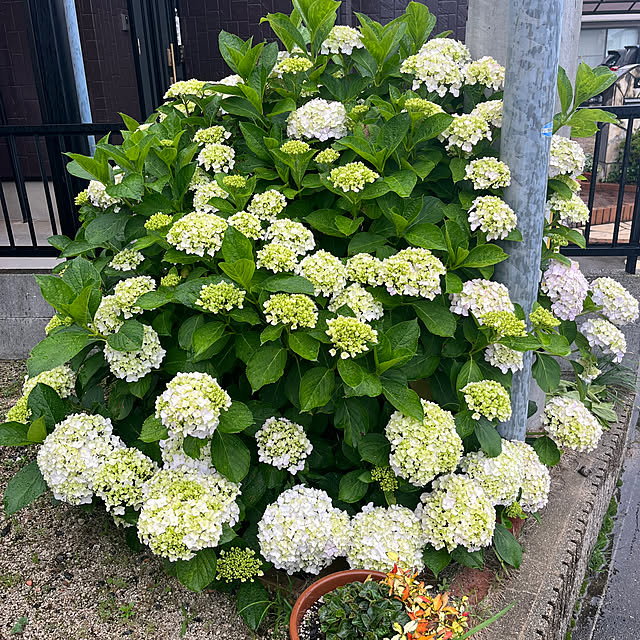 ritsukoさんの実例写真