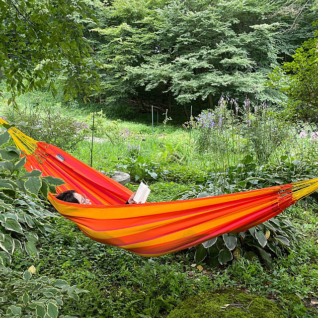 LA_SIESTA_hammockJPさんの実例写真
