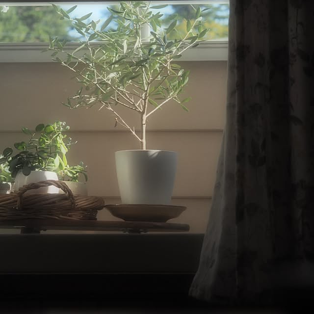 rashさんの実例写真