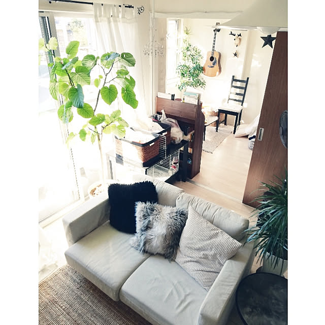 coco.Apartmanさんの実例写真