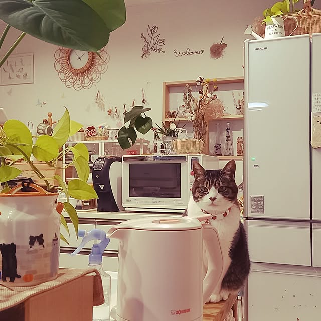 civicglさんの実例写真