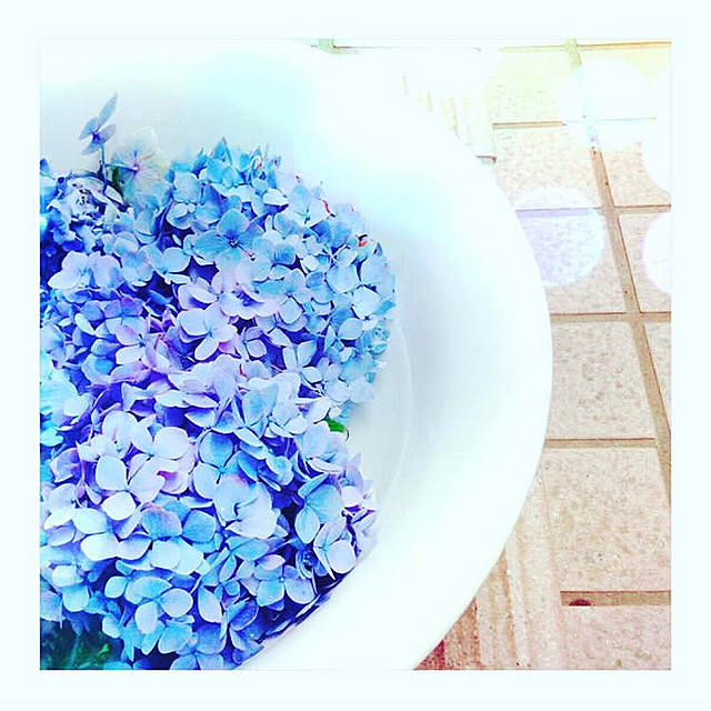 紫陽花/玄関/入り口のインテリア実例 - 2020-07-18 12:51:28