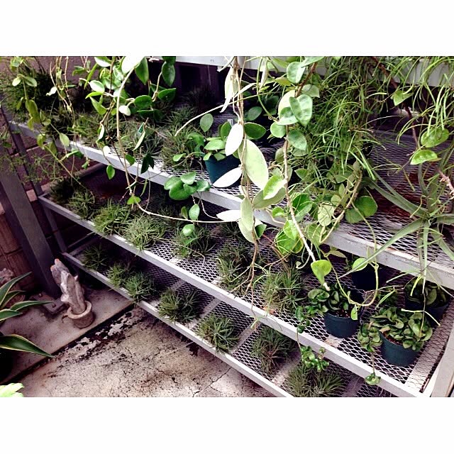 shiroさんの実例写真