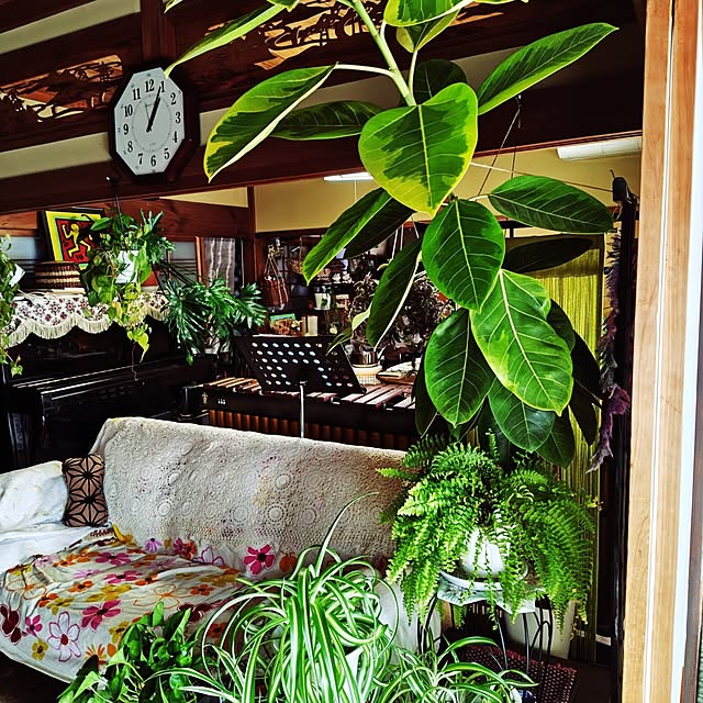 nacoさんの実例写真