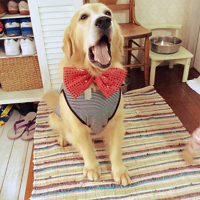 a-saさんの実例写真
