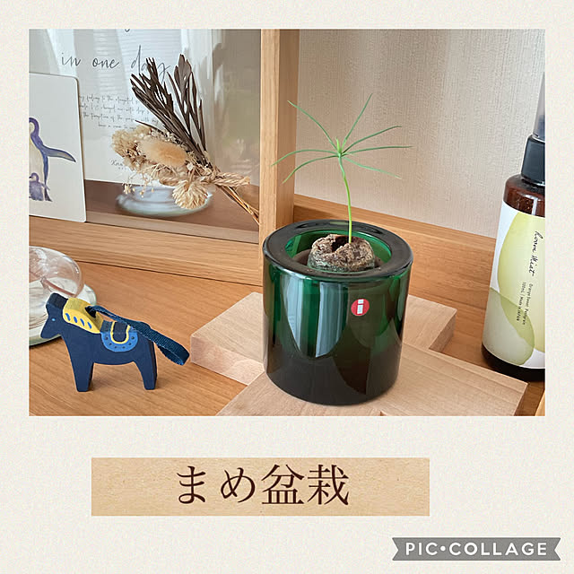 natsumiさんの実例写真
