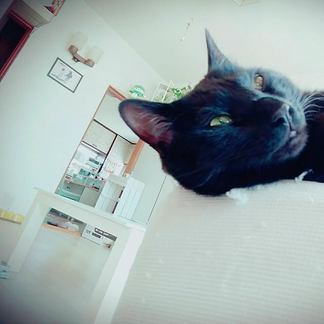 taleo07さんの実例写真