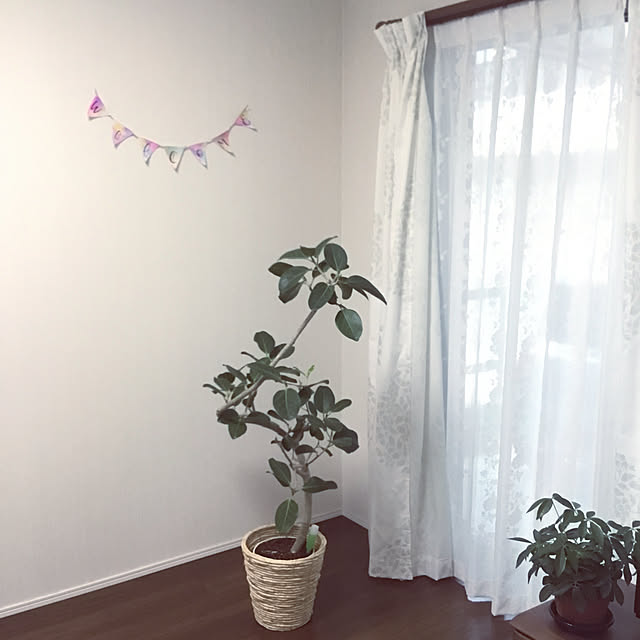 kanacapriccioさんの実例写真