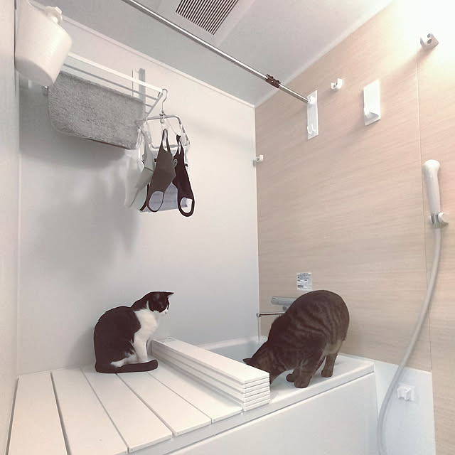 hihaさんの実例写真