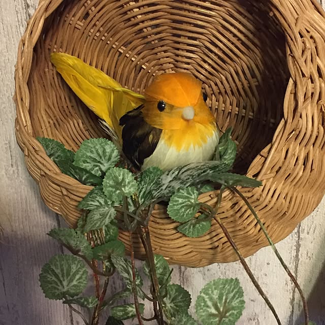 yumikoさんの実例写真