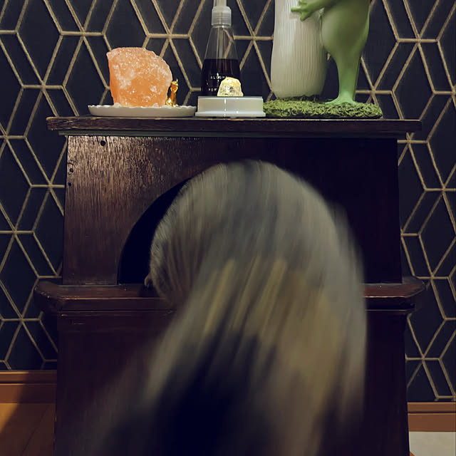 Mさんの実例写真