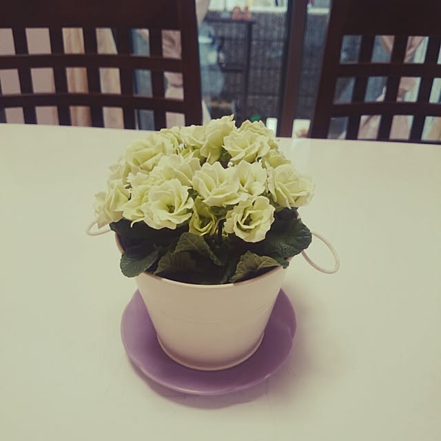 hana23さんの実例写真