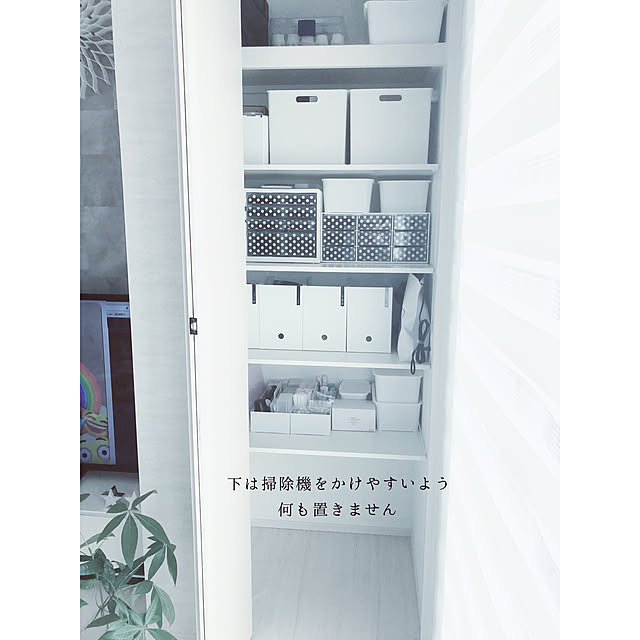 doremiさんの実例写真