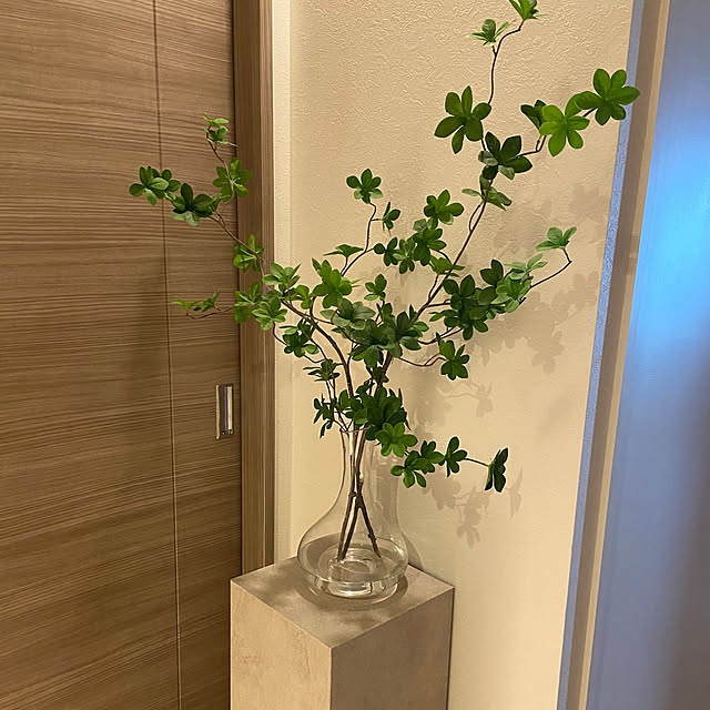 chiakiさんの部屋