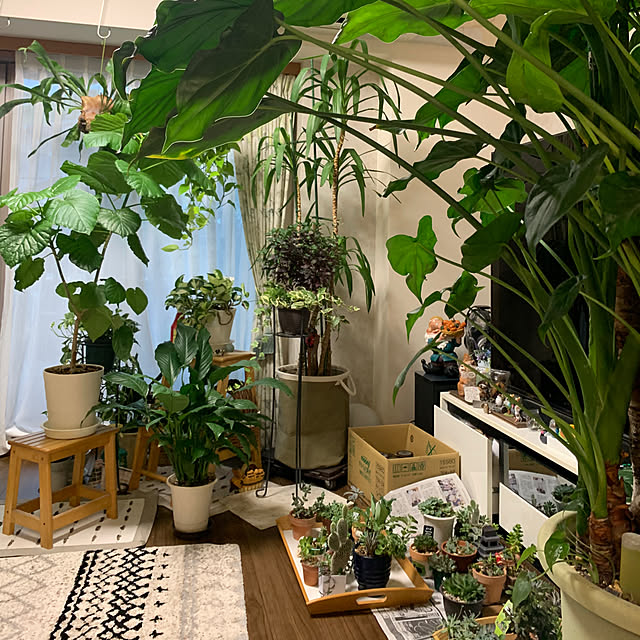 Aqettyさんの部屋