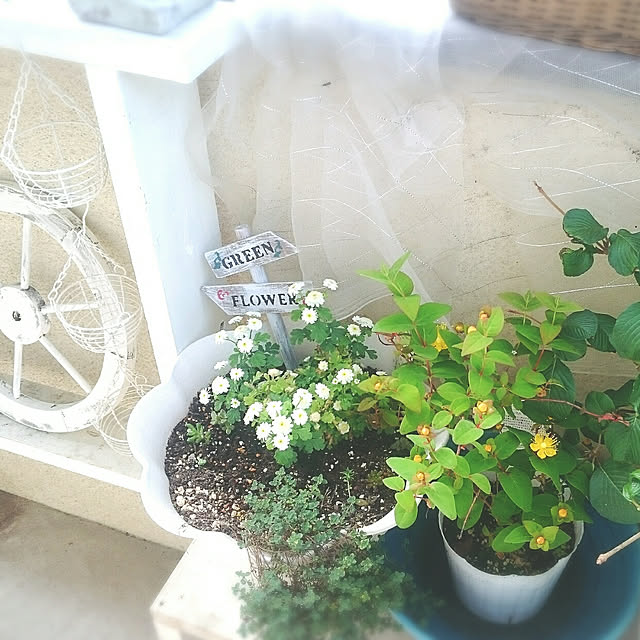 miho.okuさんの実例写真