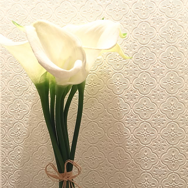 chibimuさんの実例写真