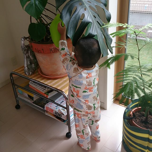 urchinさんの実例写真