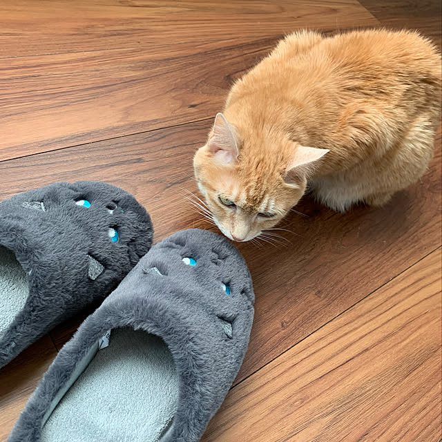 mikeume7さんの実例写真