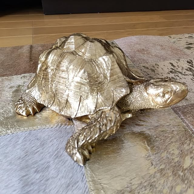 _Mさんの実例写真