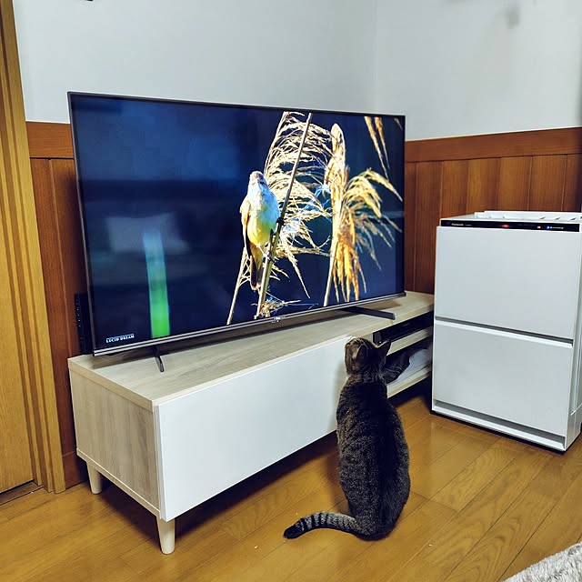 nachiさんの実例写真