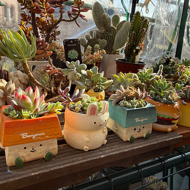 Aqettyさんの実例写真