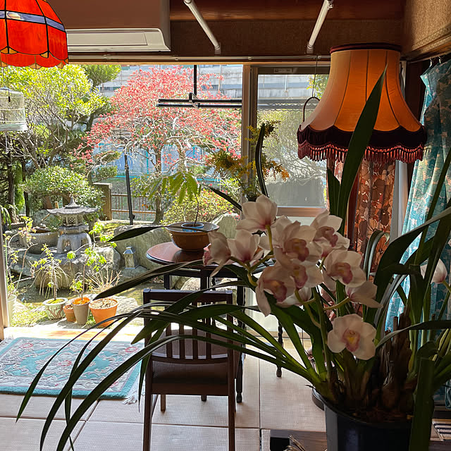 shin0719さんの部屋